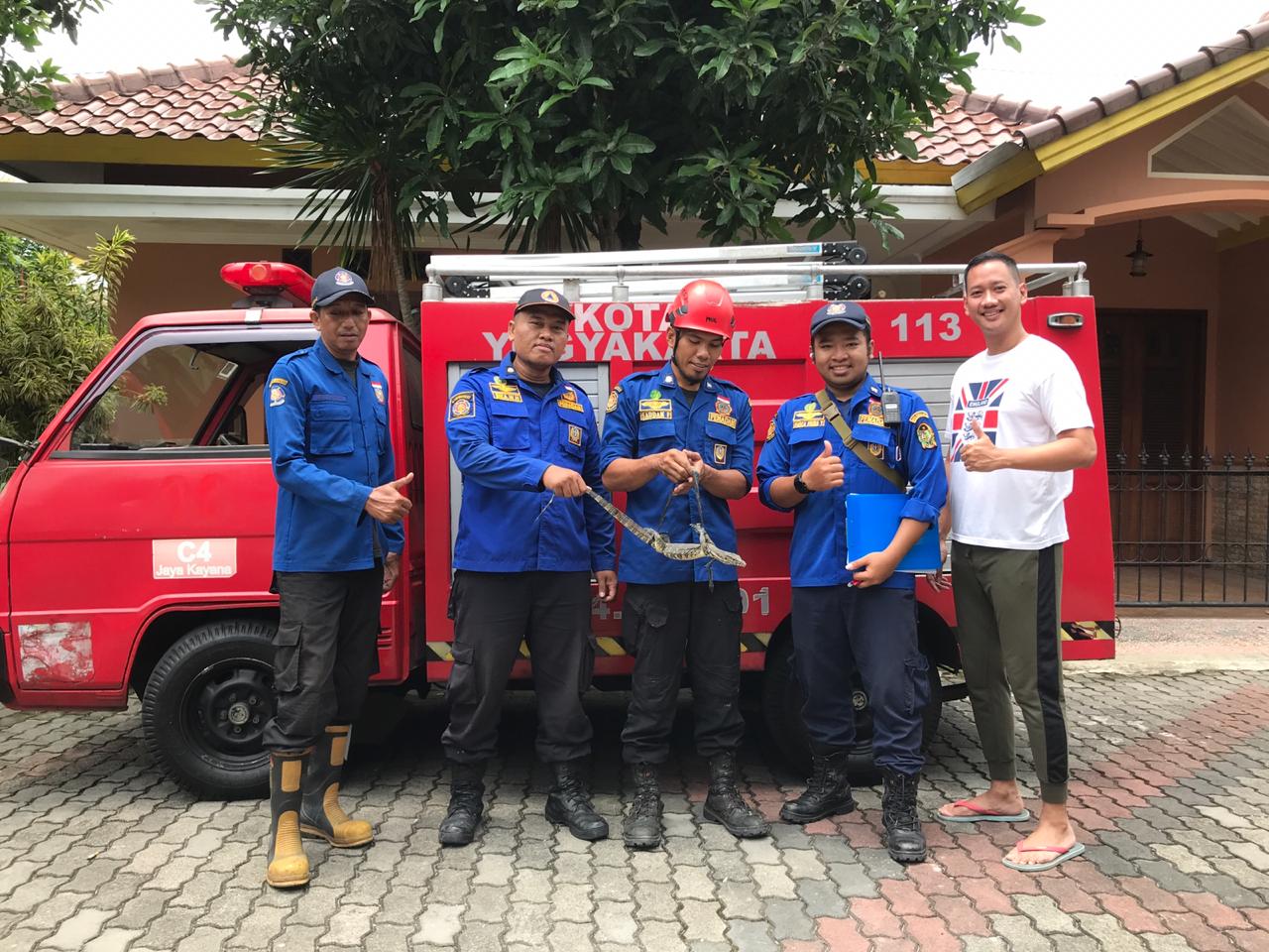 Biawak Masuk Perumahan Diamankan Damkarmat Jogja